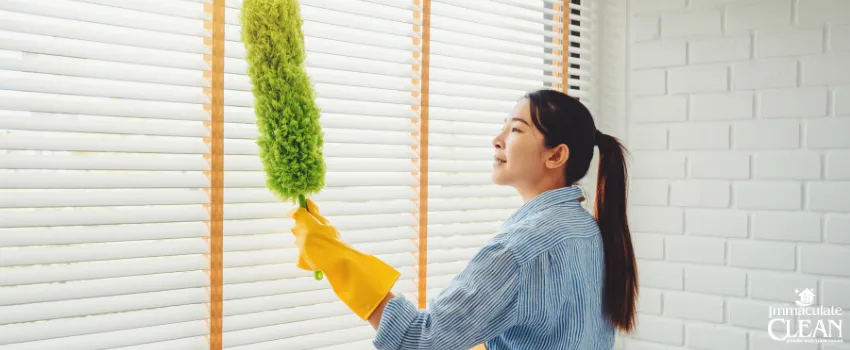 IC - Woman cleaning the sources of what causes dust in a house