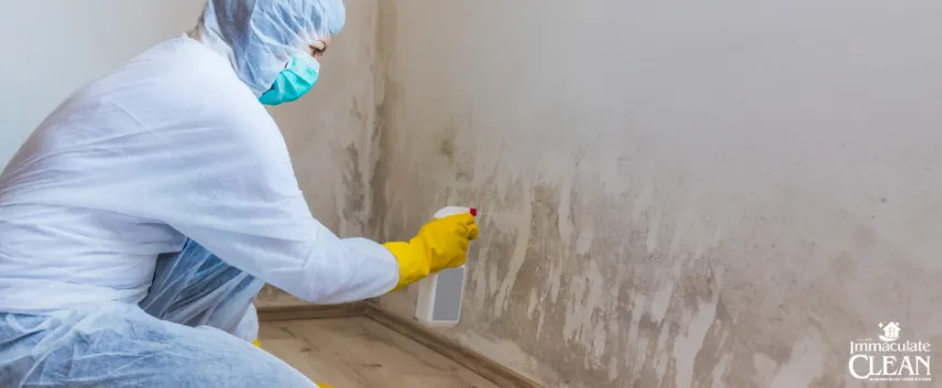 IC - Woman removing mold from wall