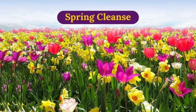 Spring cleanse